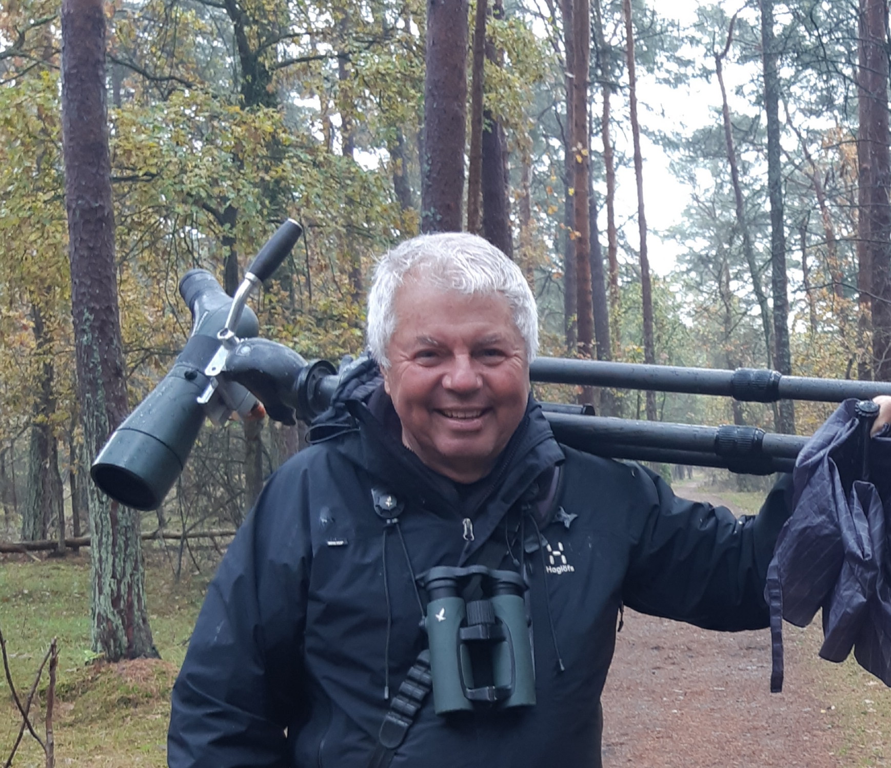 Profilbild