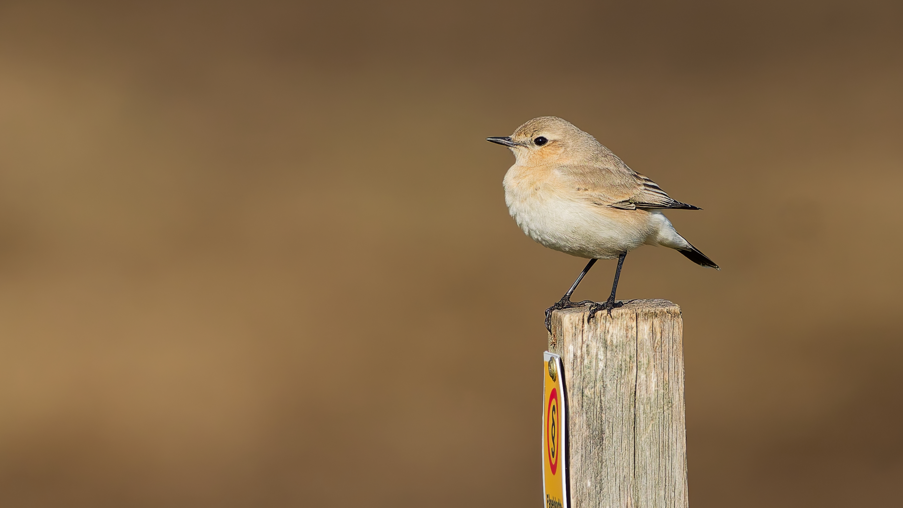 Inte godkänd av RK ännu ?