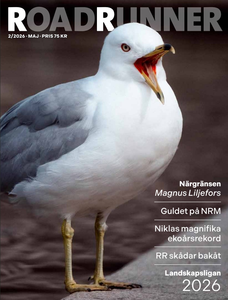 Bild för numret