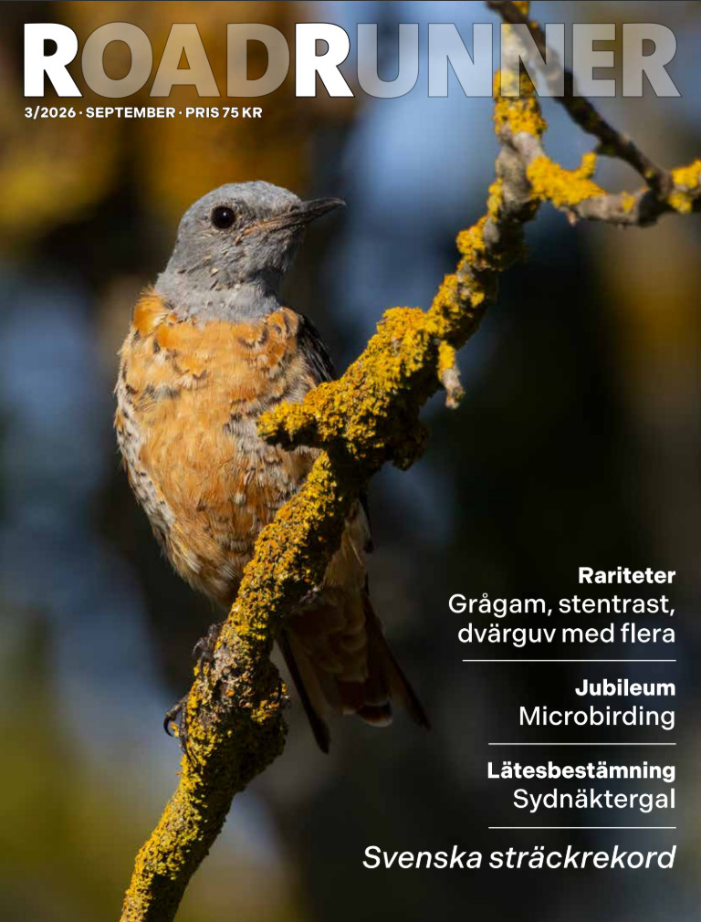 Bild för numret