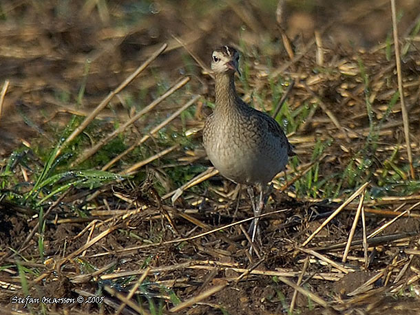 Fler bilder på <br>www.osqar.se