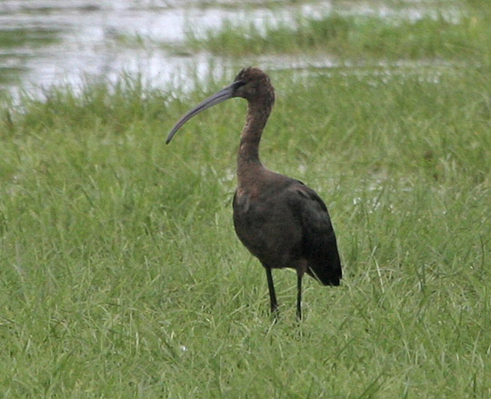 Fler bilder på <br>www.landgrens.se