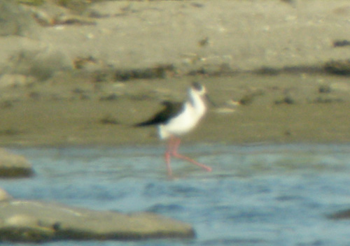 Långt avstånd med <br>mycket värmedaller