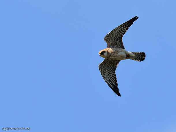 Fan vare blåser i detta <br>arma land!!