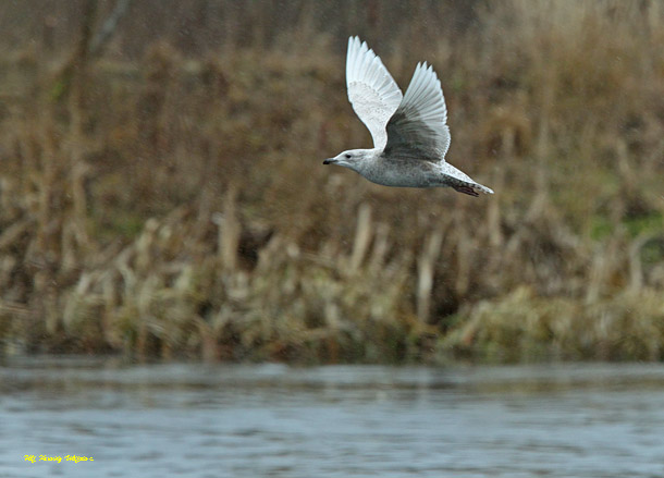 Riktigt ruskväder med<br>ihållande regn.