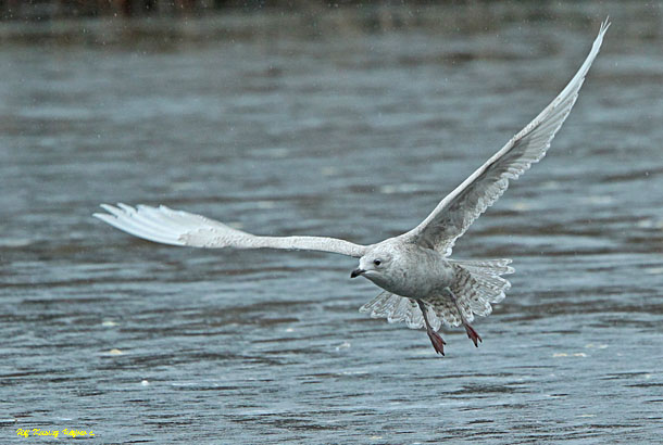 Riktigt ruskväder med<br>ihållande regn.